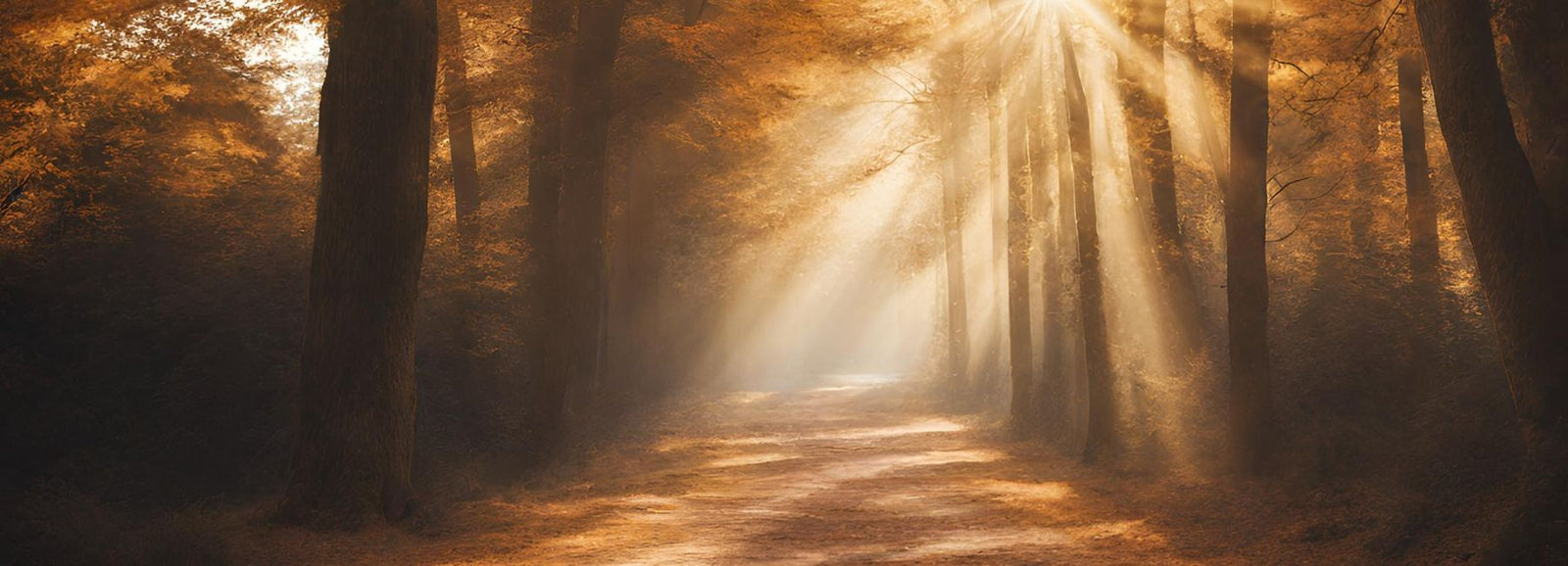 Autumn Forest and Transformation of Life