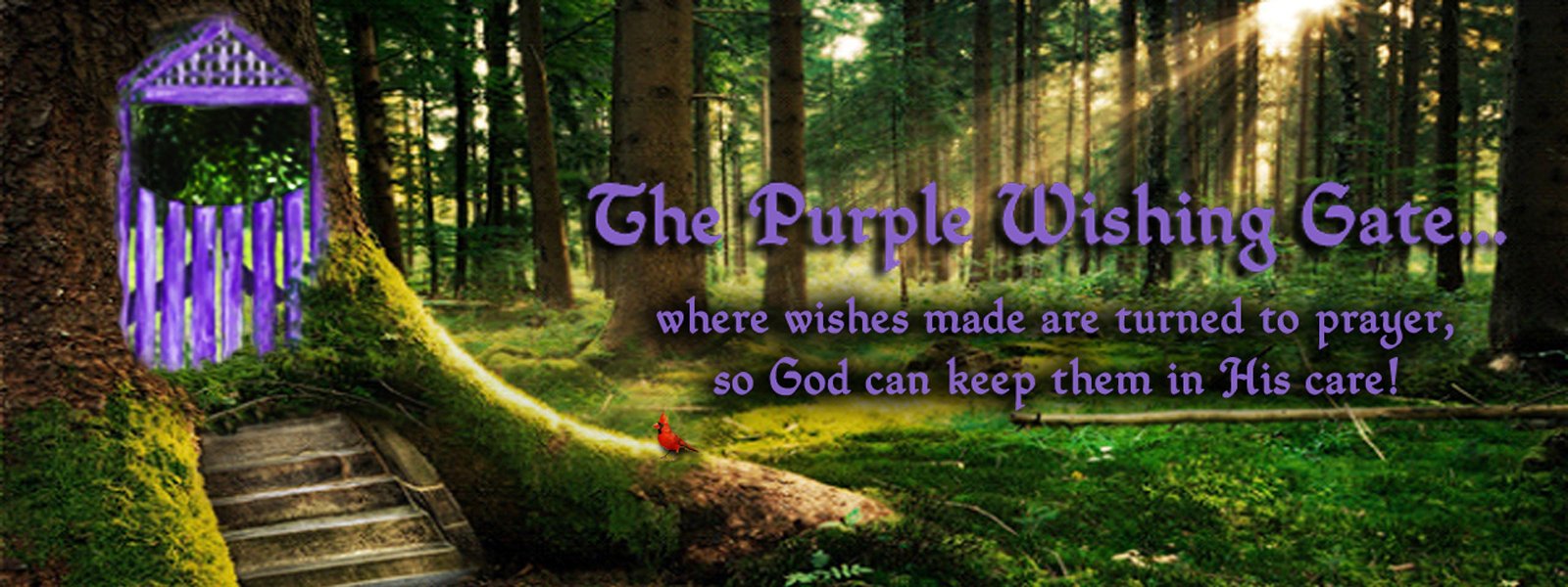An Open Letter From Purple Wishing Gate Founder Barbara D MacAdam