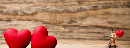 Let The Love Bugs Bite! with PWG Author Barbara D MacAdam