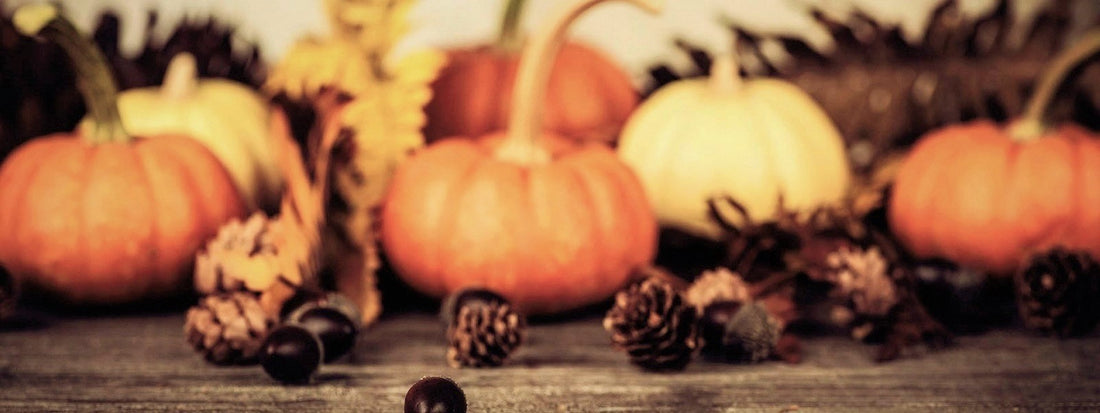 A Gift That Expresses What Thanksgiving is All About: “A Thanksgiving Blessing”