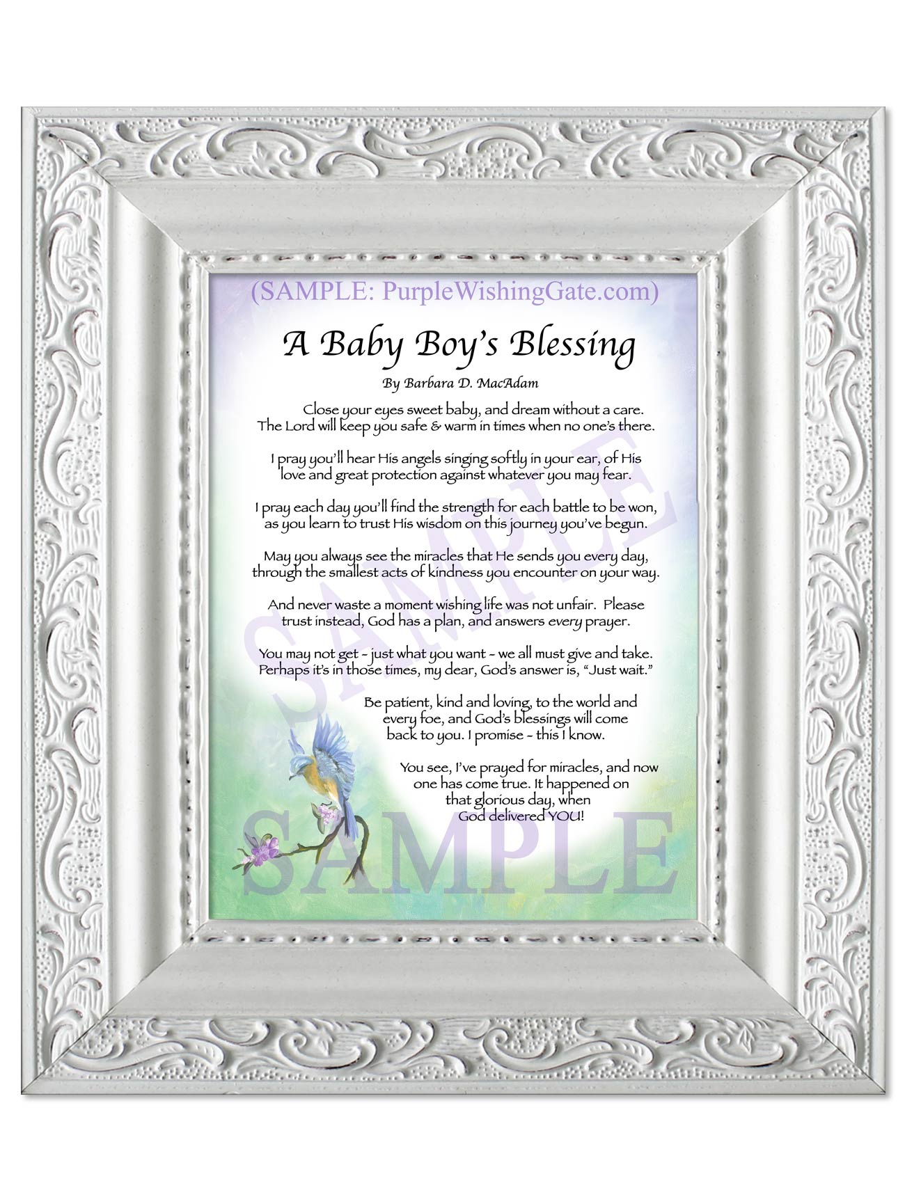 A Baby Boy's Blessing